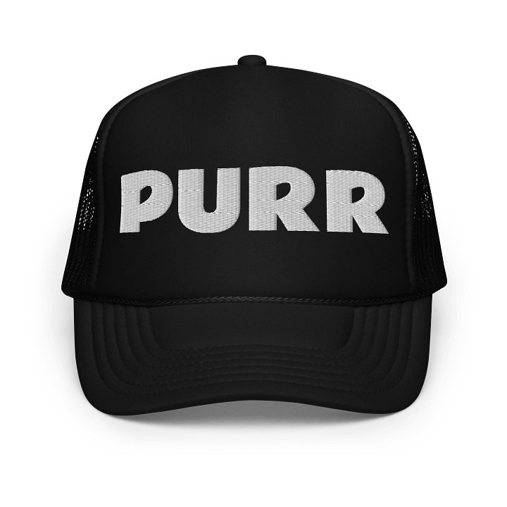Embroidered PURR Hat - White Thread Collection product image (6)