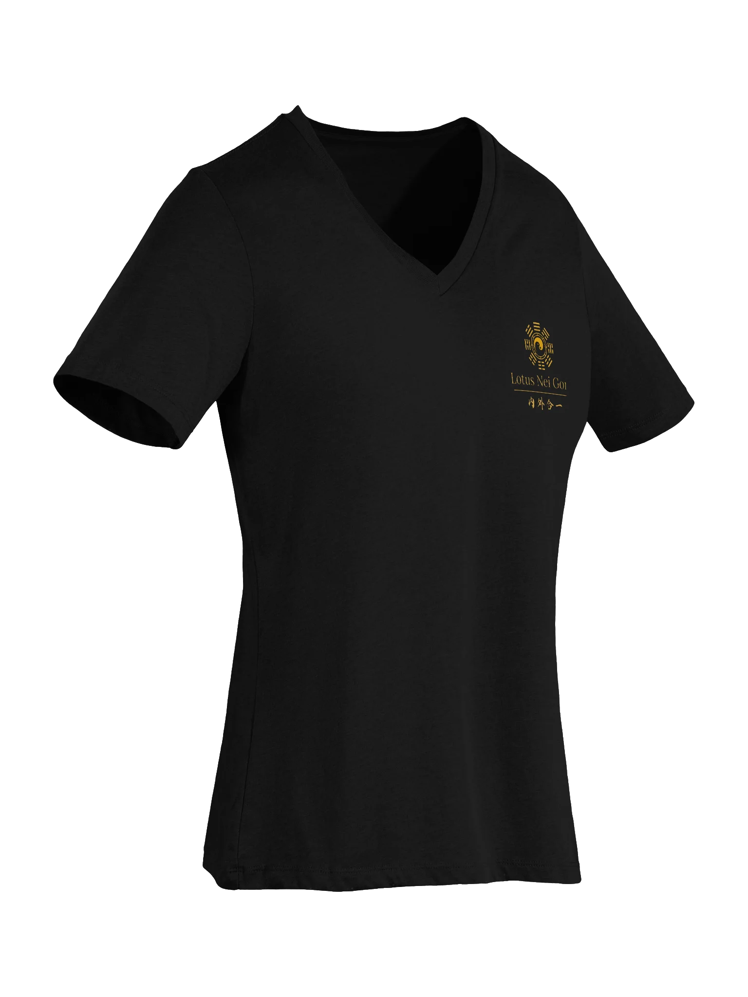 Ladies V Neck Tee product image (6)