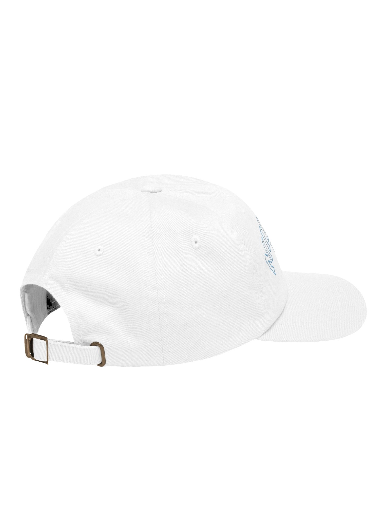 COLLEGIATE MILLENNIAL DAD HAT product image (8)