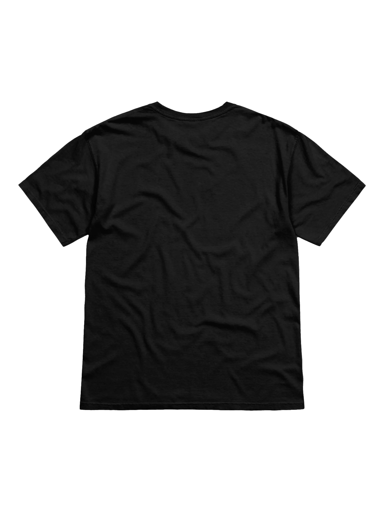 It's Garlic Time! T-Shirt product image (3)