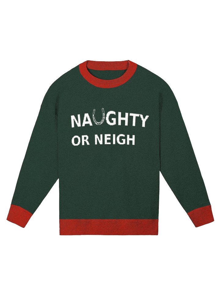 The Naughty or Neigh Sweater (wholesale) product image (1)