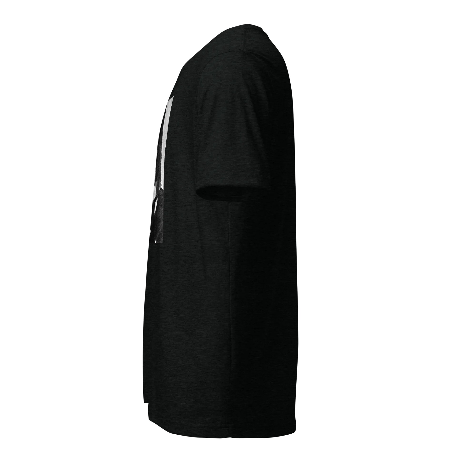 The Crow product image (2)