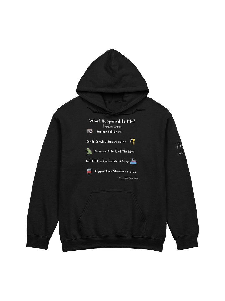 WHAT HAPPENED TO ME ? (Toronto Edition): Hoodie product image (5)