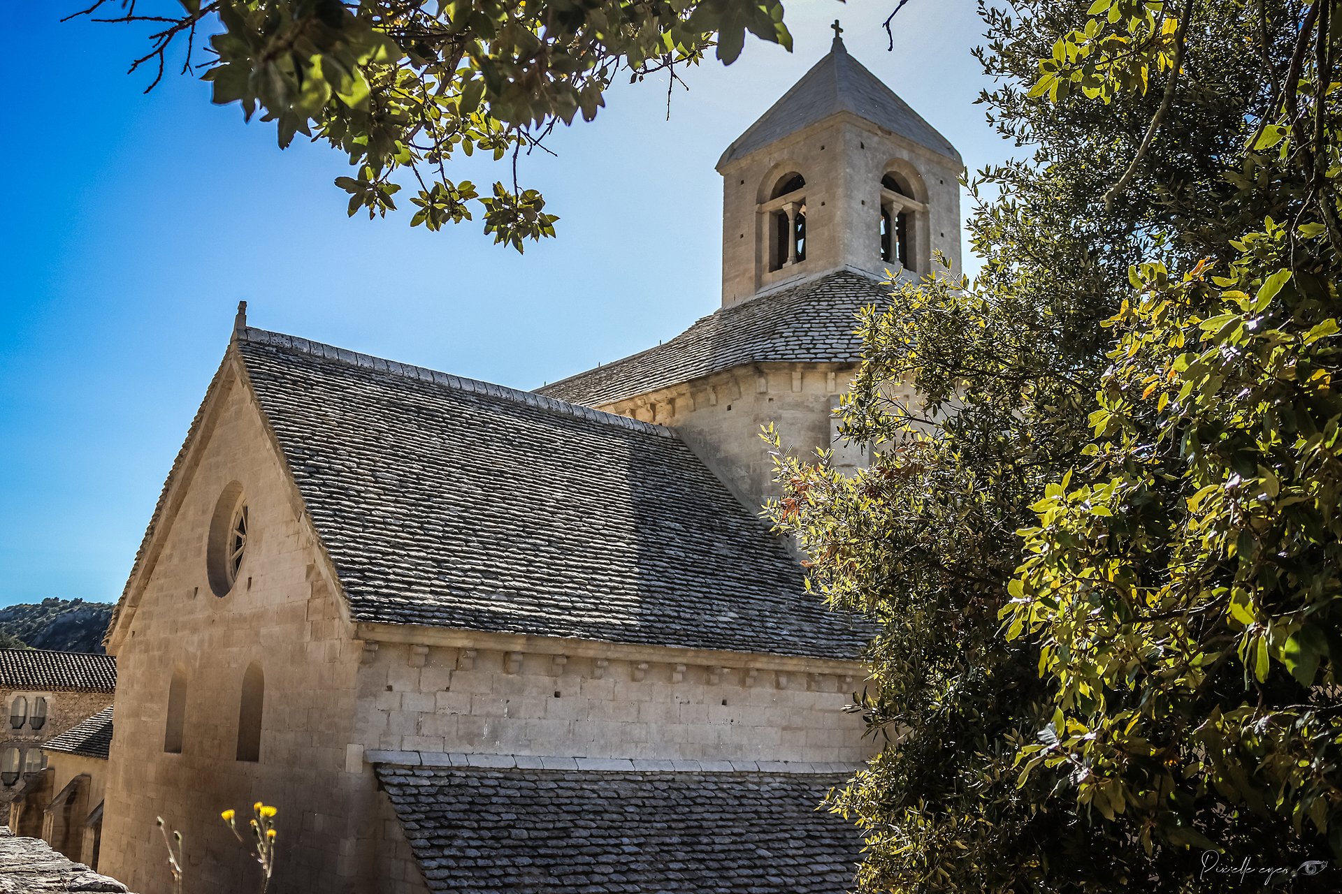 Sénanque Abbey, Provence, France product image (1)
