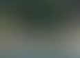 vod's tag thumbnail