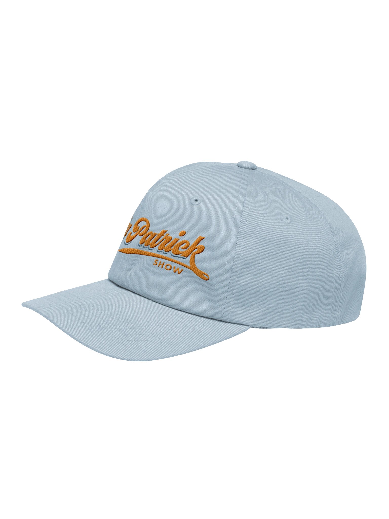 DP Logo Hat product image (3)