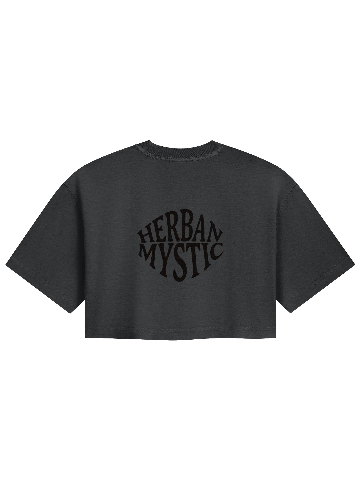 Luminary Cropped Tee product image (2)