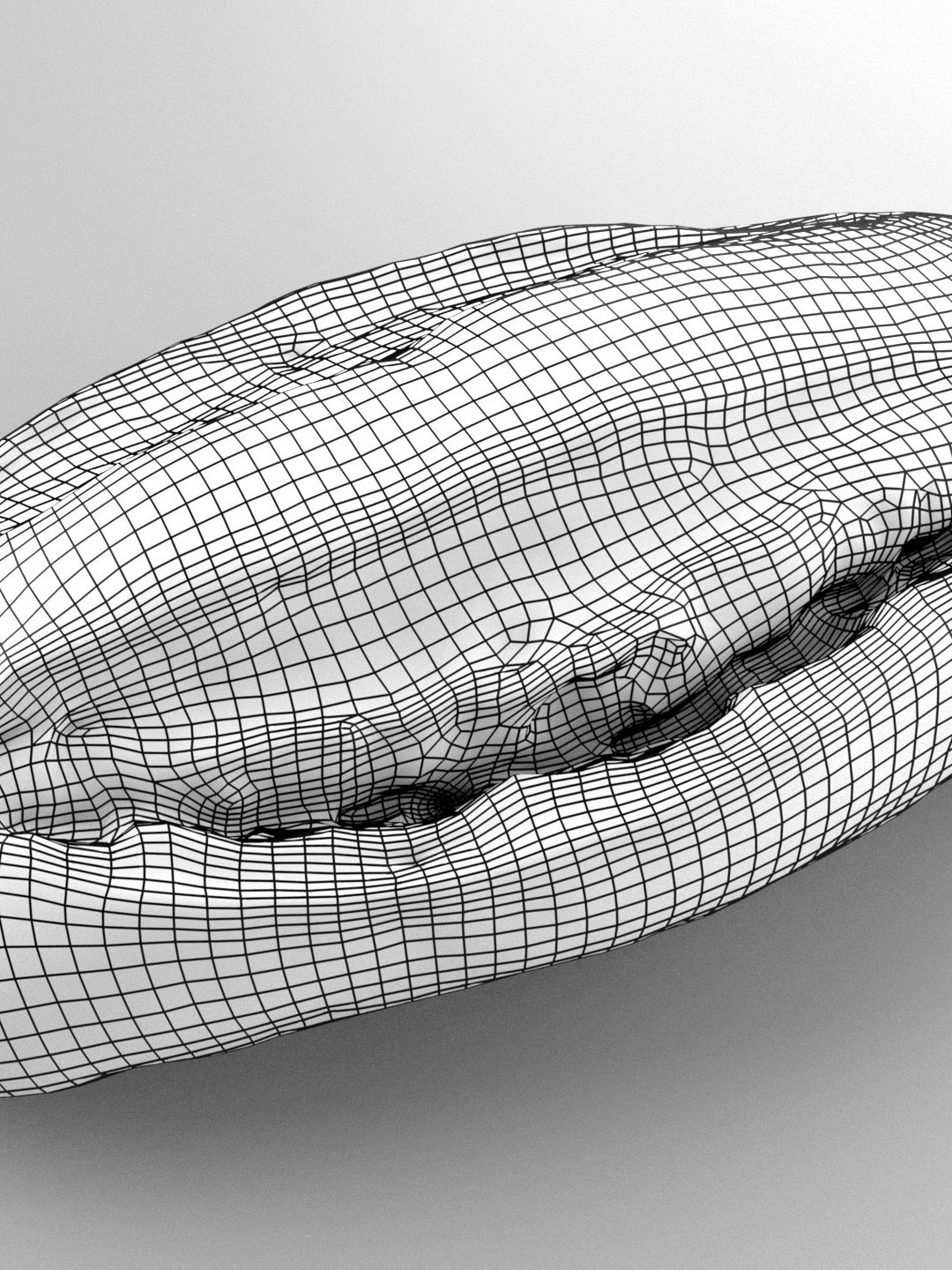 Bread Loaf 01 - 3D Scan product image (2)