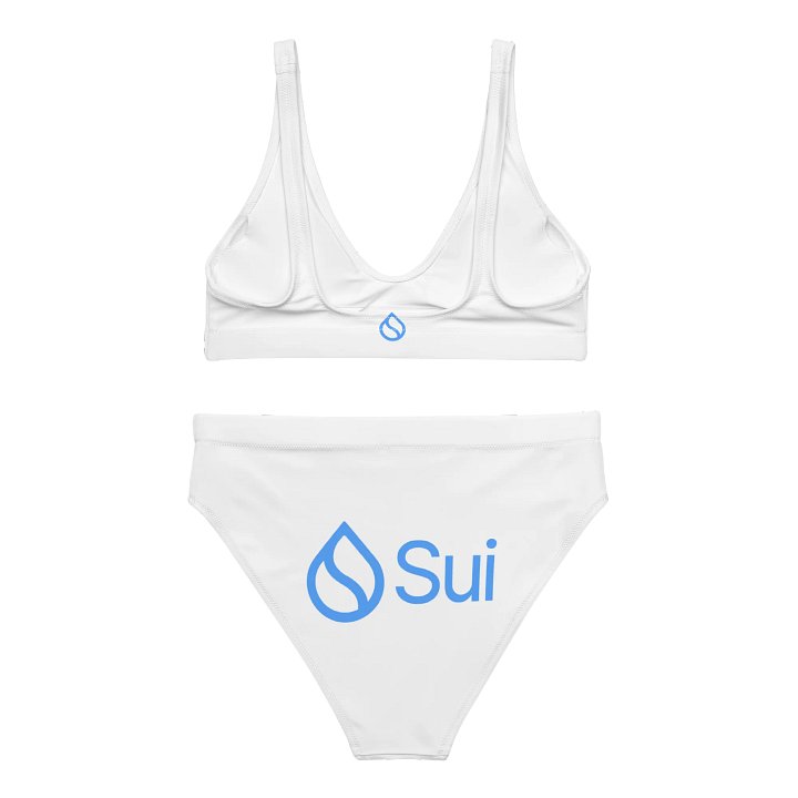 High Waisted Bikini/Sui product image (2)