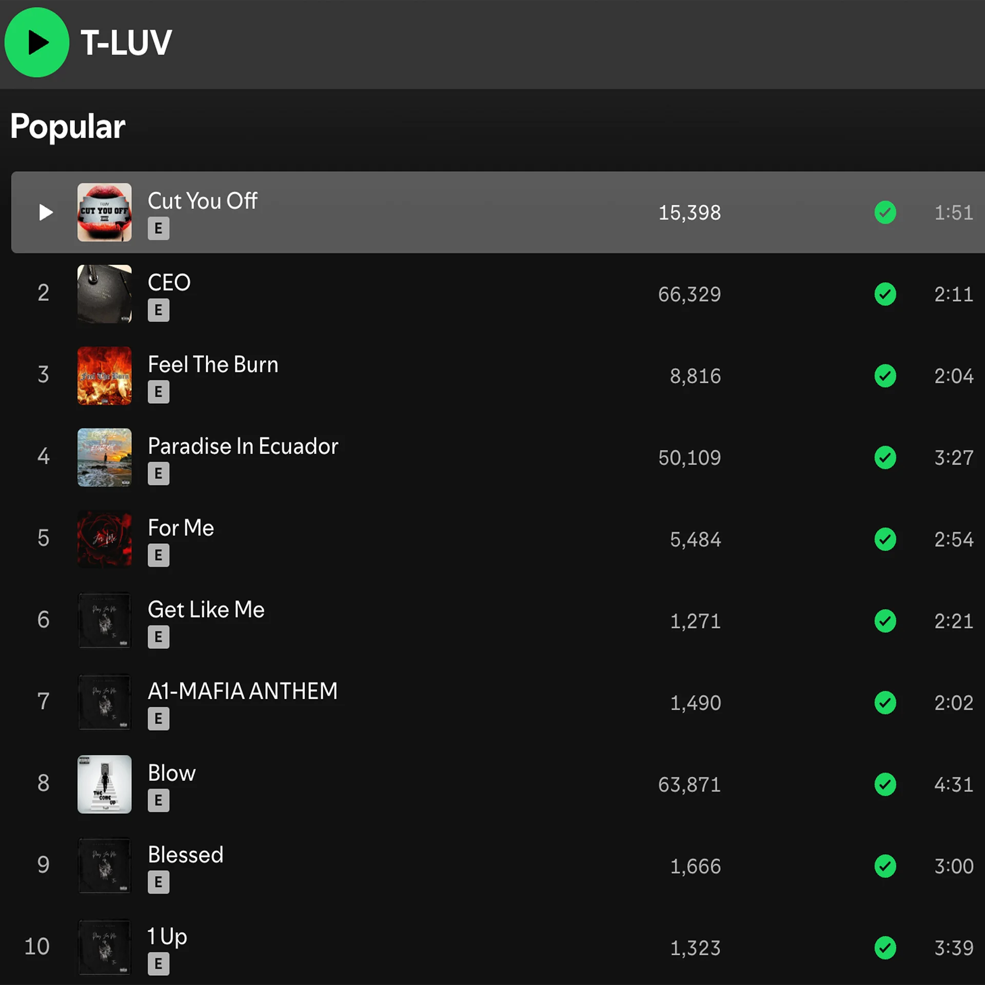 Spotify Facebook & Instagram Ads Marketing Campaign product image (5)