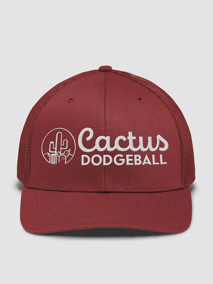 Cactus Dodgeball 