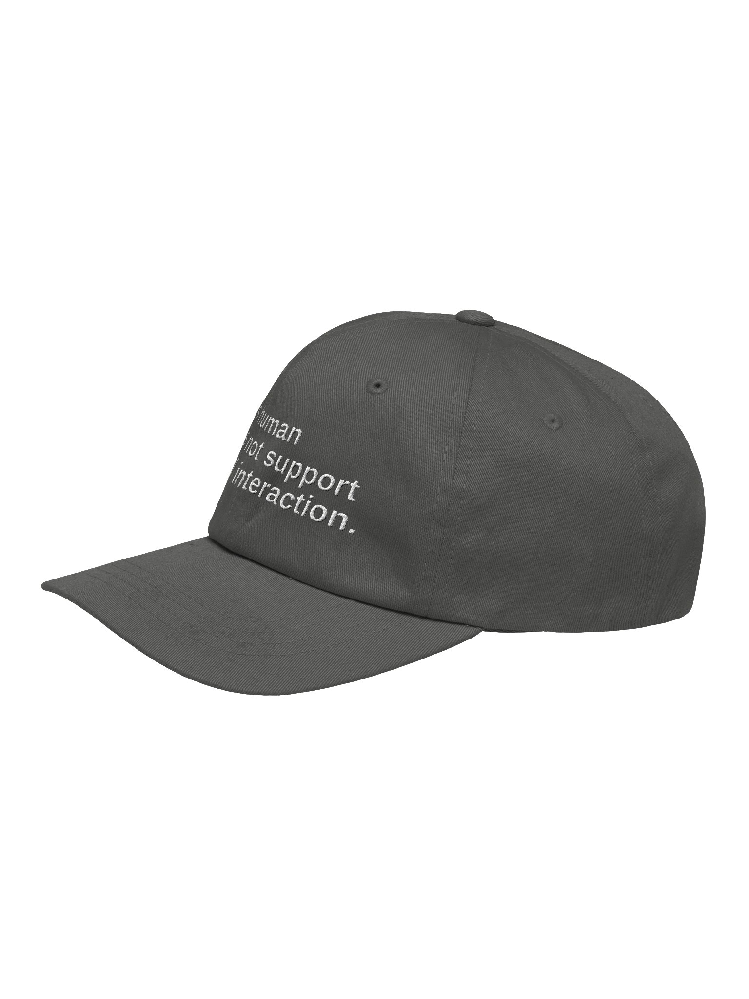 This human does not support social interaction. Embroidered Hat product image (20)