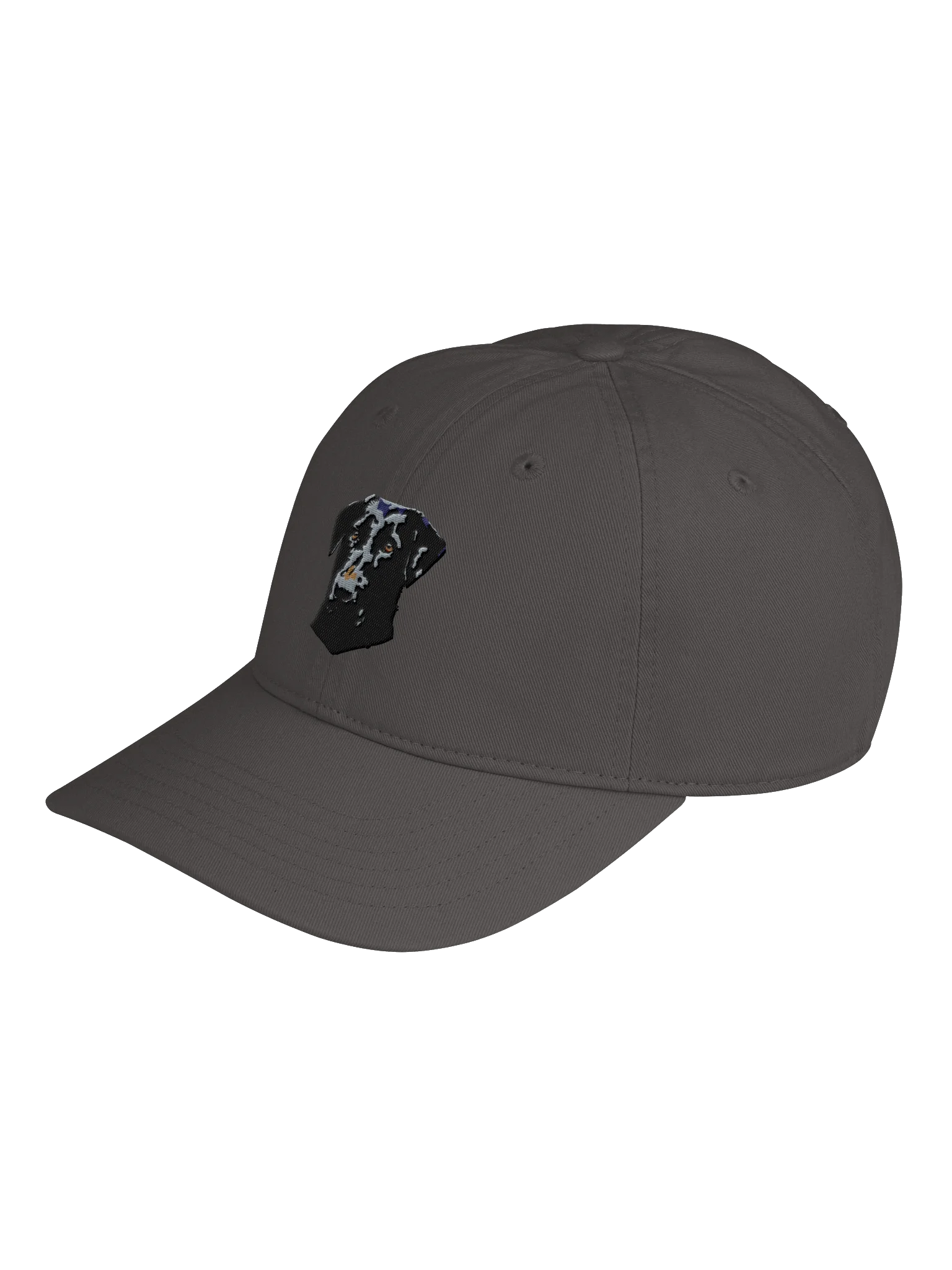 Lab dad cap product image (9)