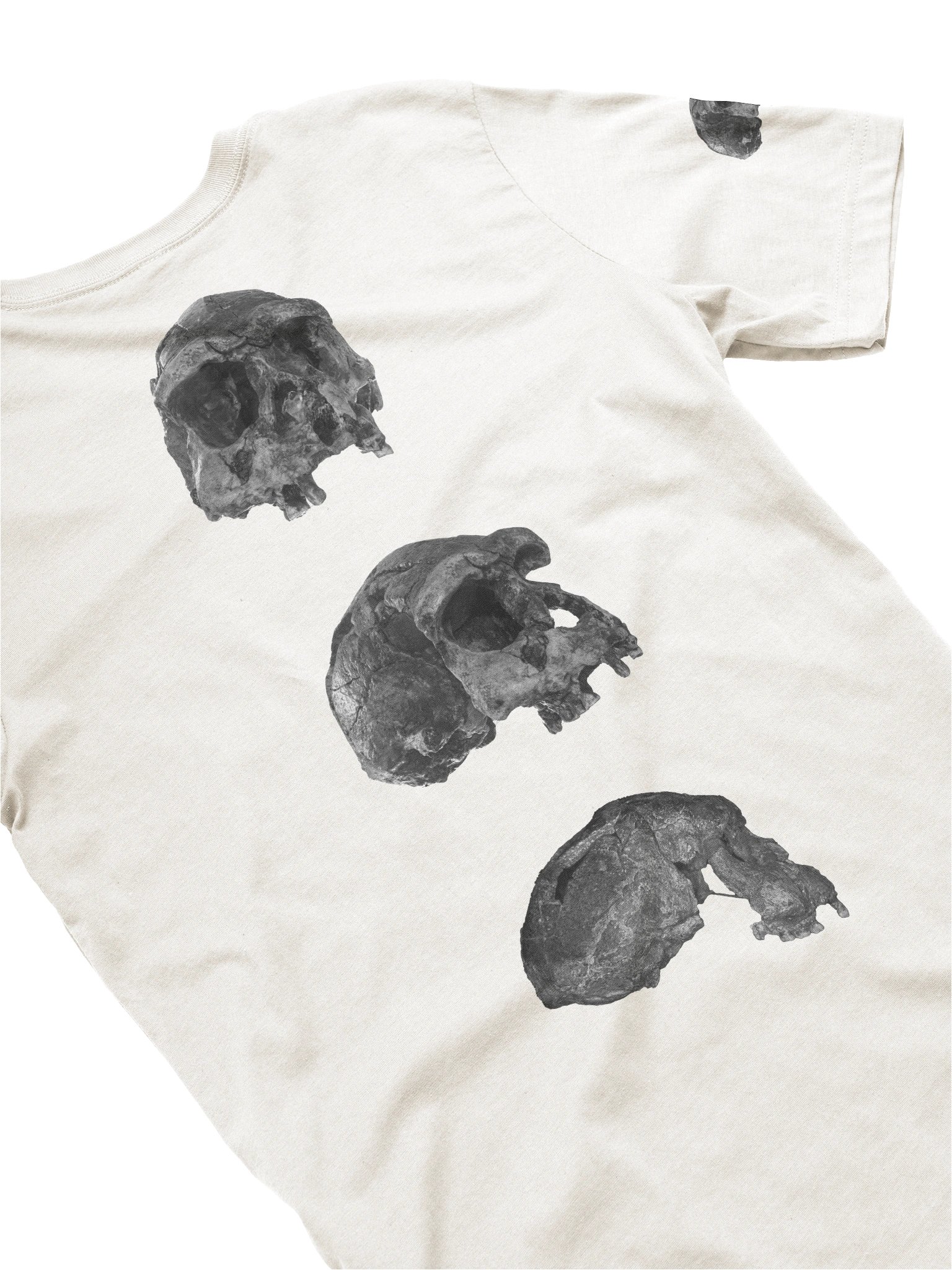 Erectus Fossil Skull T-Shirt Light product image (20)