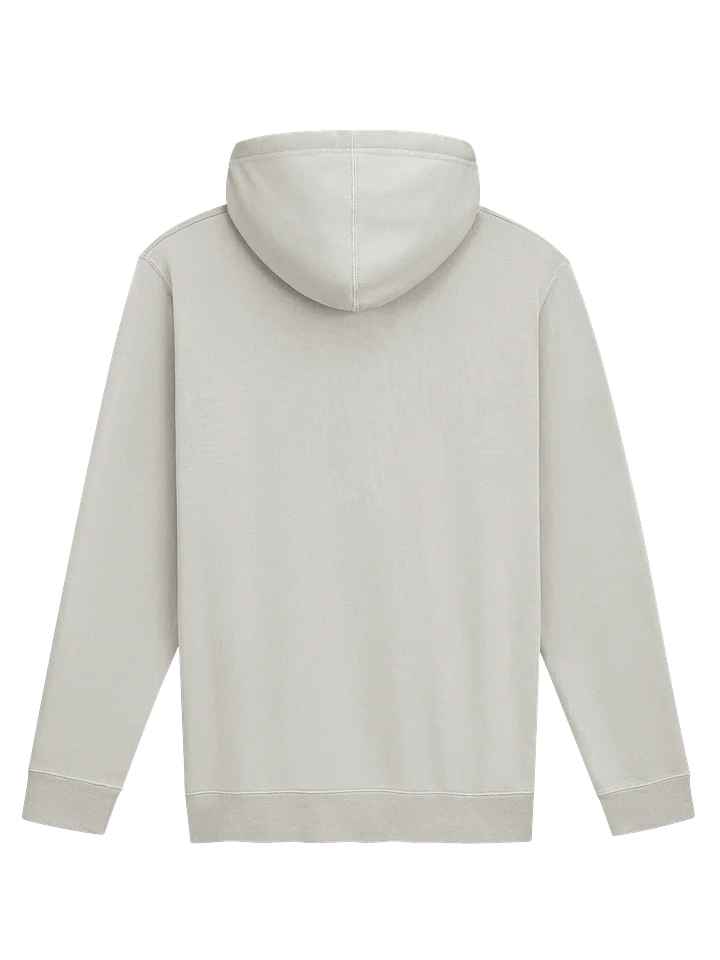 "Napster Sued Me… And Won!" Premium Pigment Dyed Hoodie product image (2)