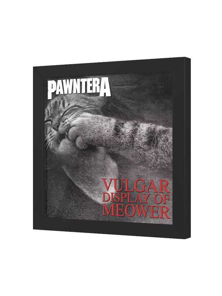 PAWNTERA – VULGAR DISPLAY OF MEOWER FRAMED POSTER product image (19)