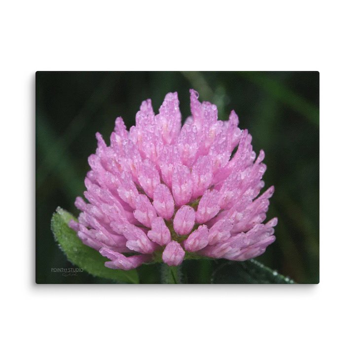 Soaked Purple Clover - Print On Canvas product image (2)