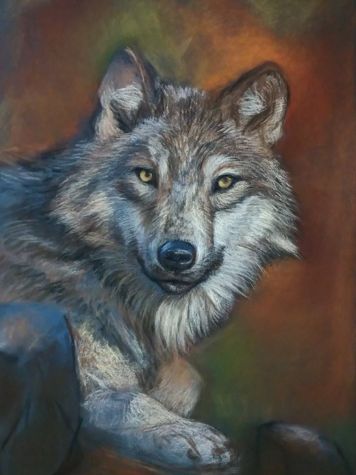 Wolf product image (1)