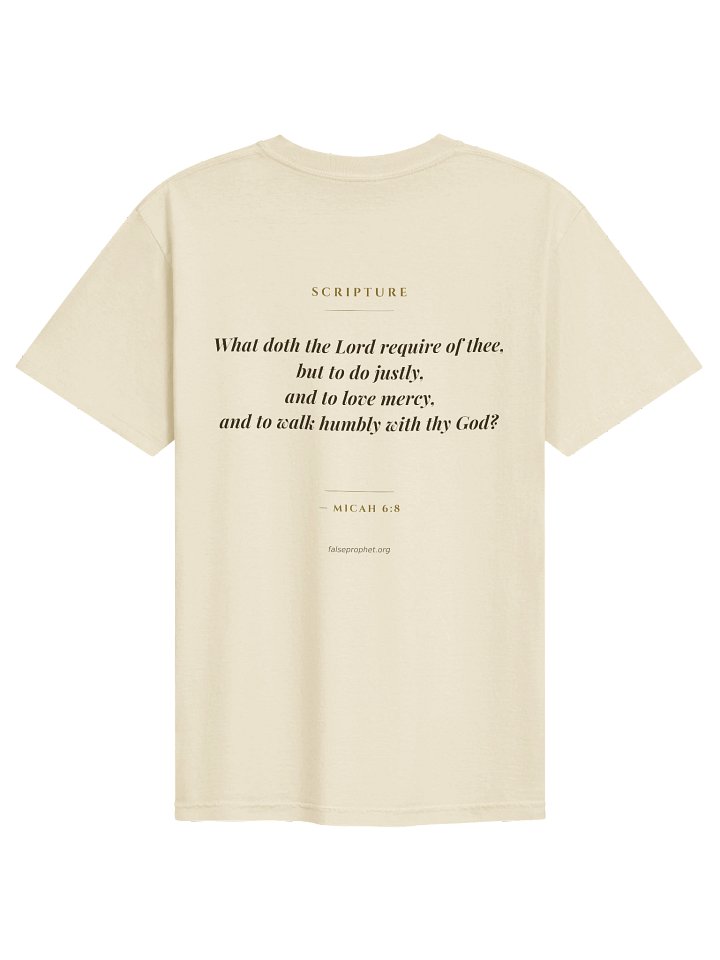 Micah 6:8/Walk Humbly T-Shirt (White) product image (1)