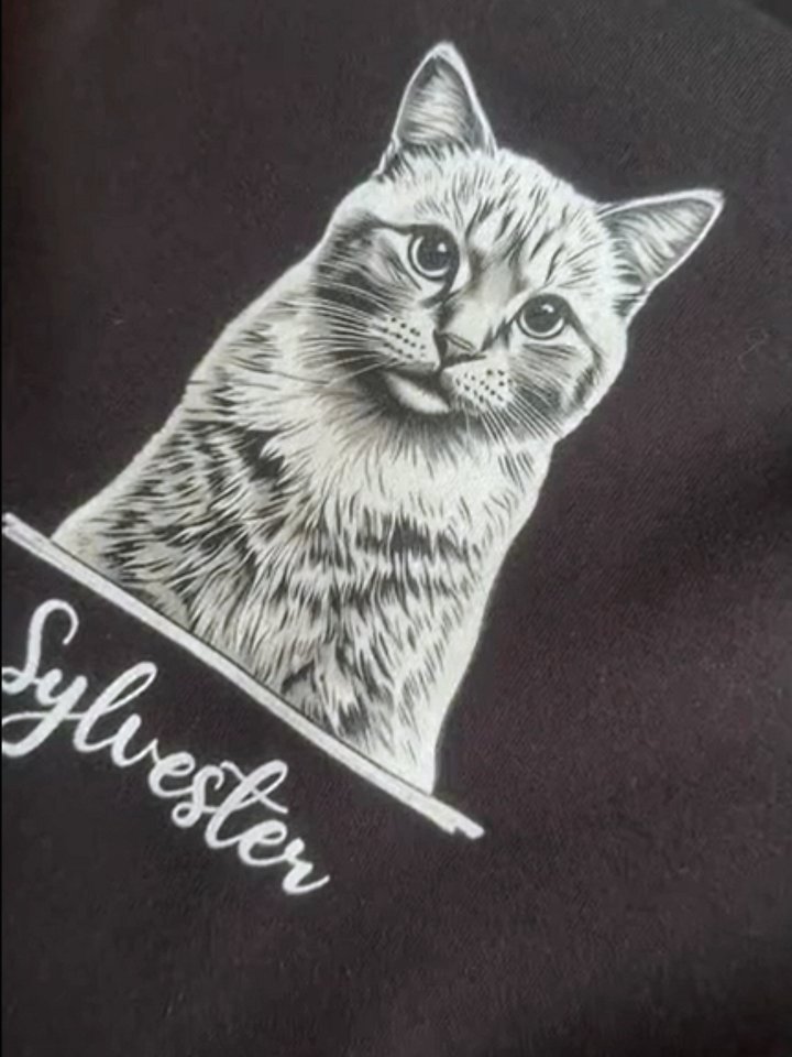 SYLVESTER 💙 / PRINTED HOODIE product image (2)