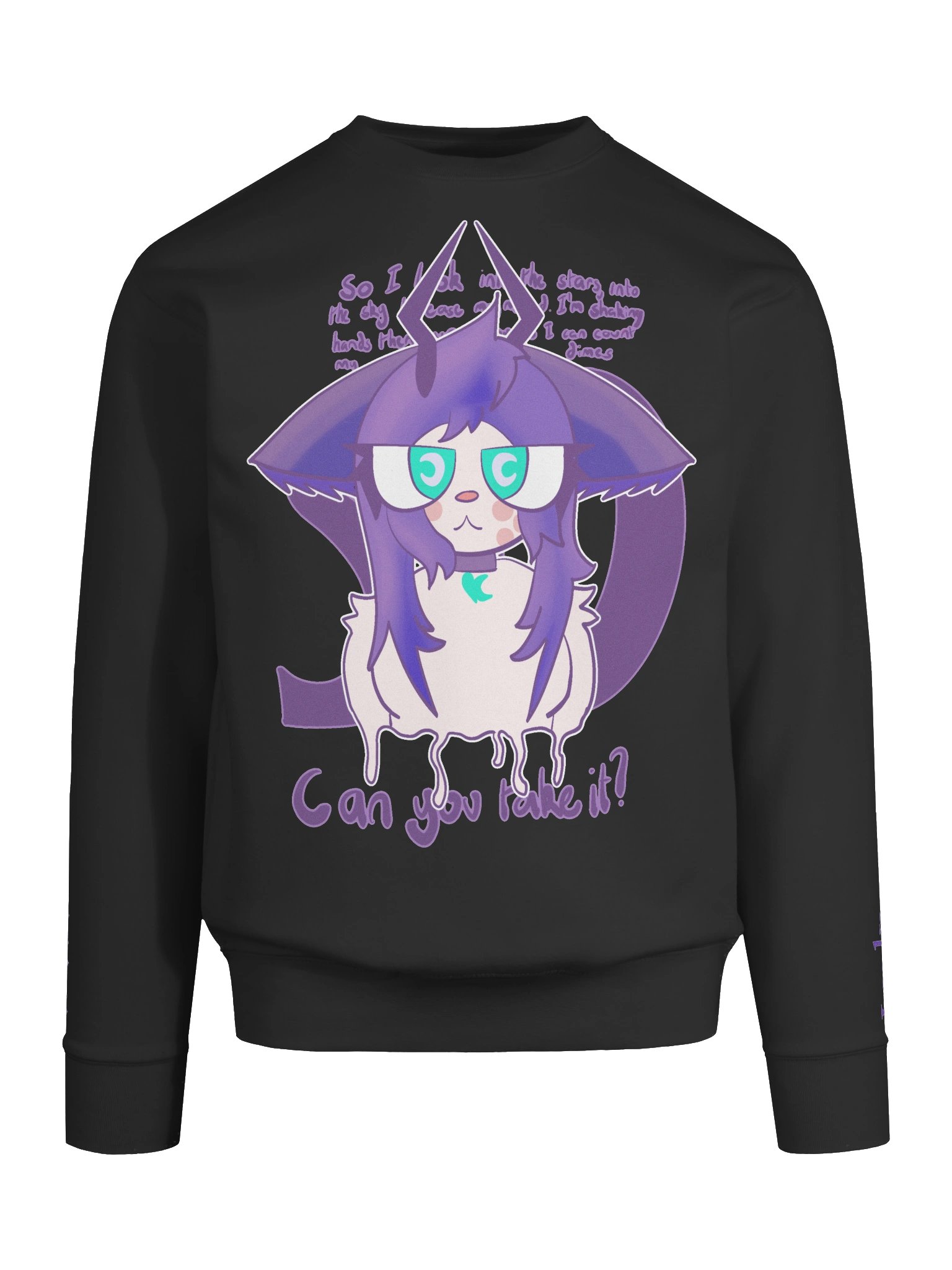 "Can you take it?" Longsleeve (Collaboration with kittydog) product image (9)