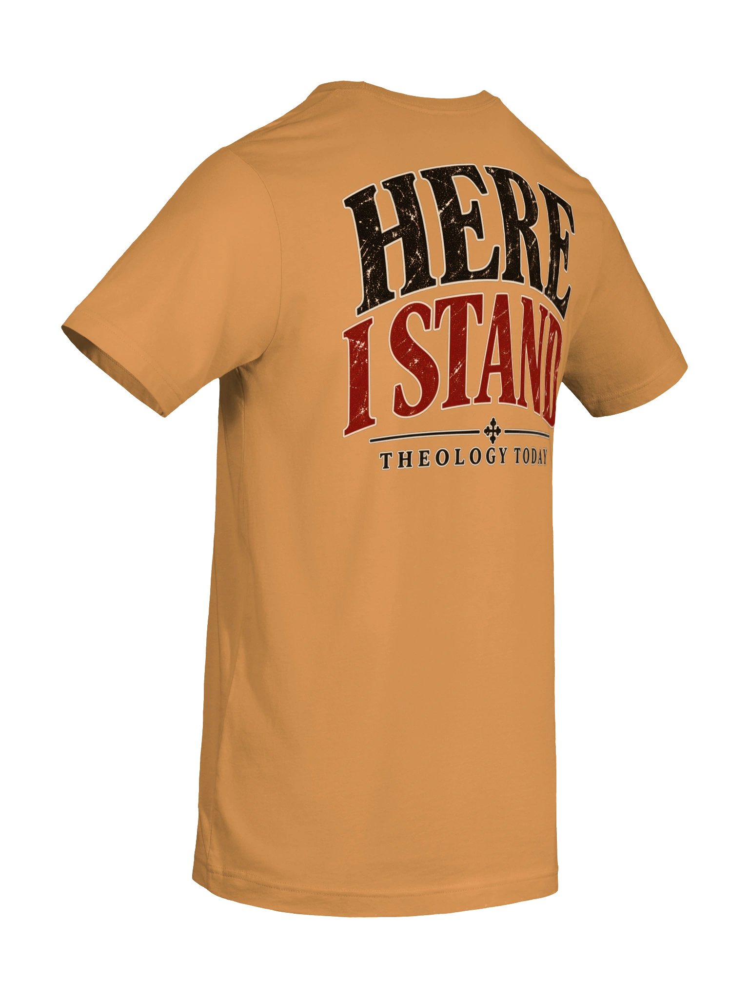 Here I Stand — Captive to the Word | Reformation T-Shirt product image (64)