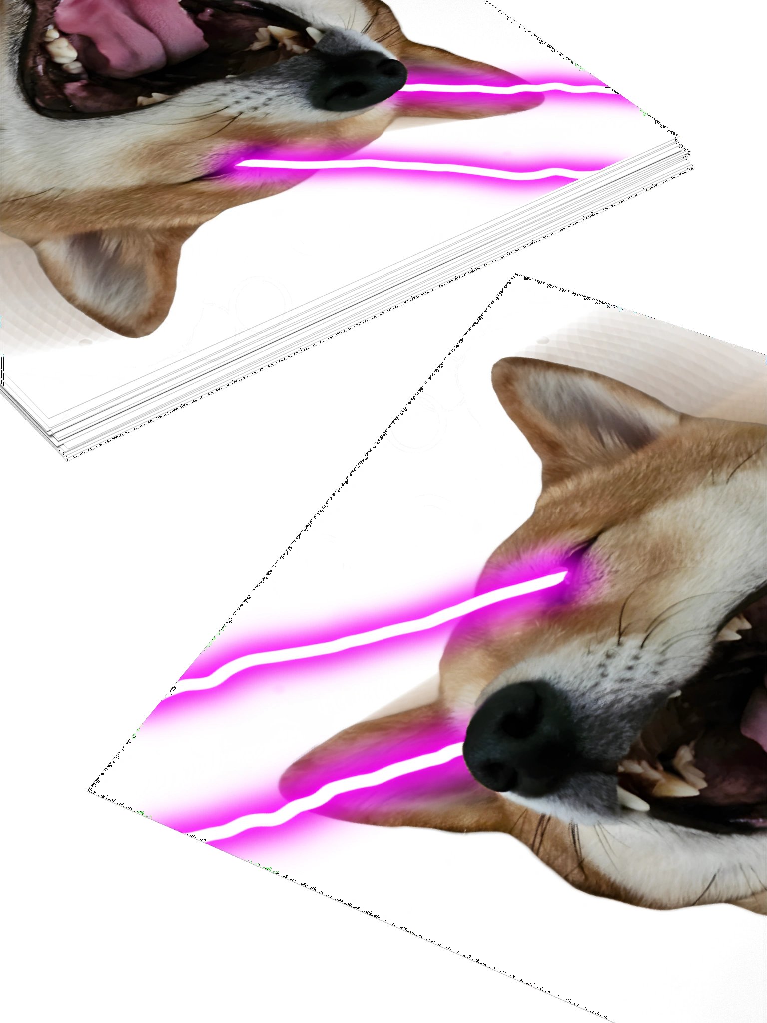 SHUBI LASERZ (STICKER) product image (4)