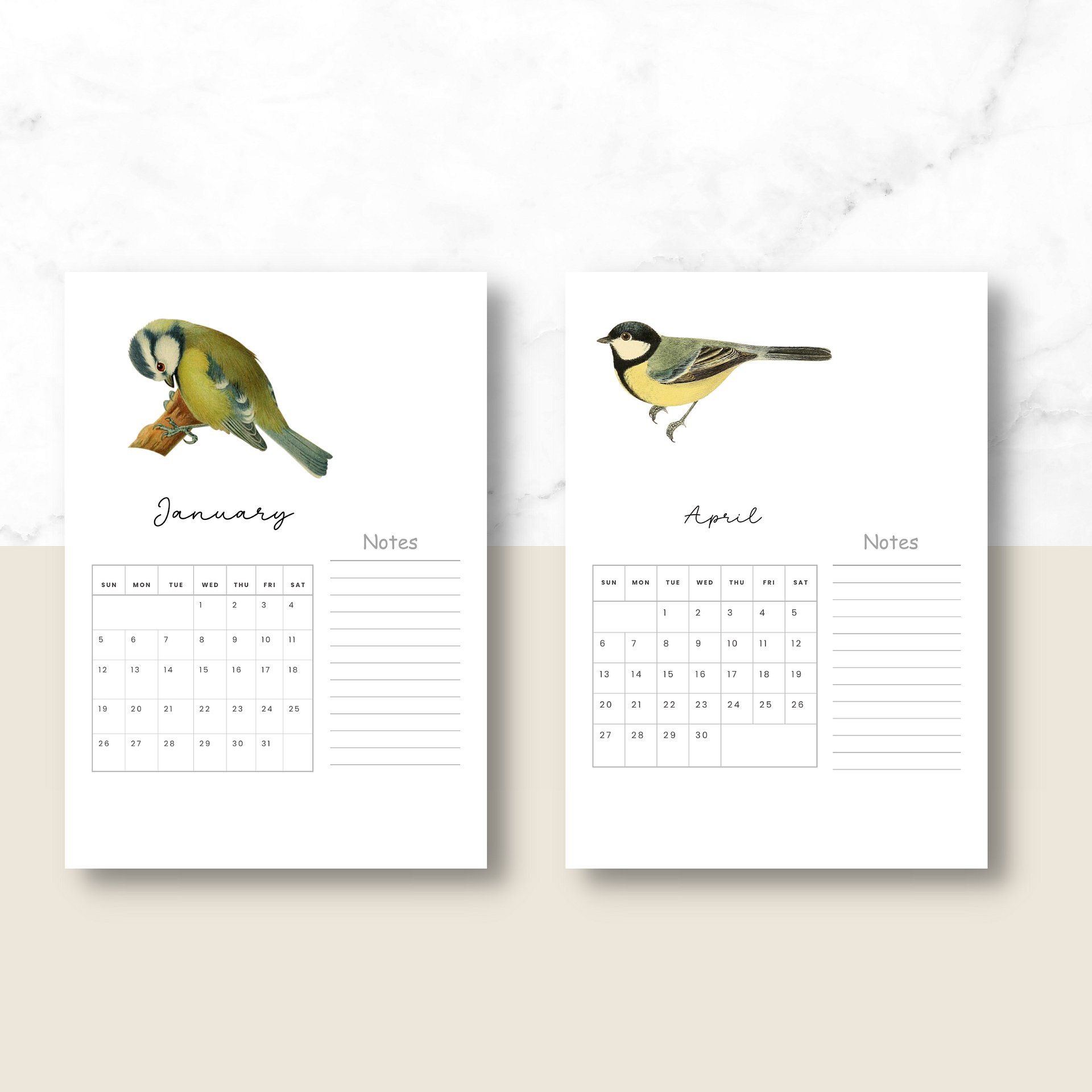 2025-2026 PDF Calendar: American Birds product image (4)