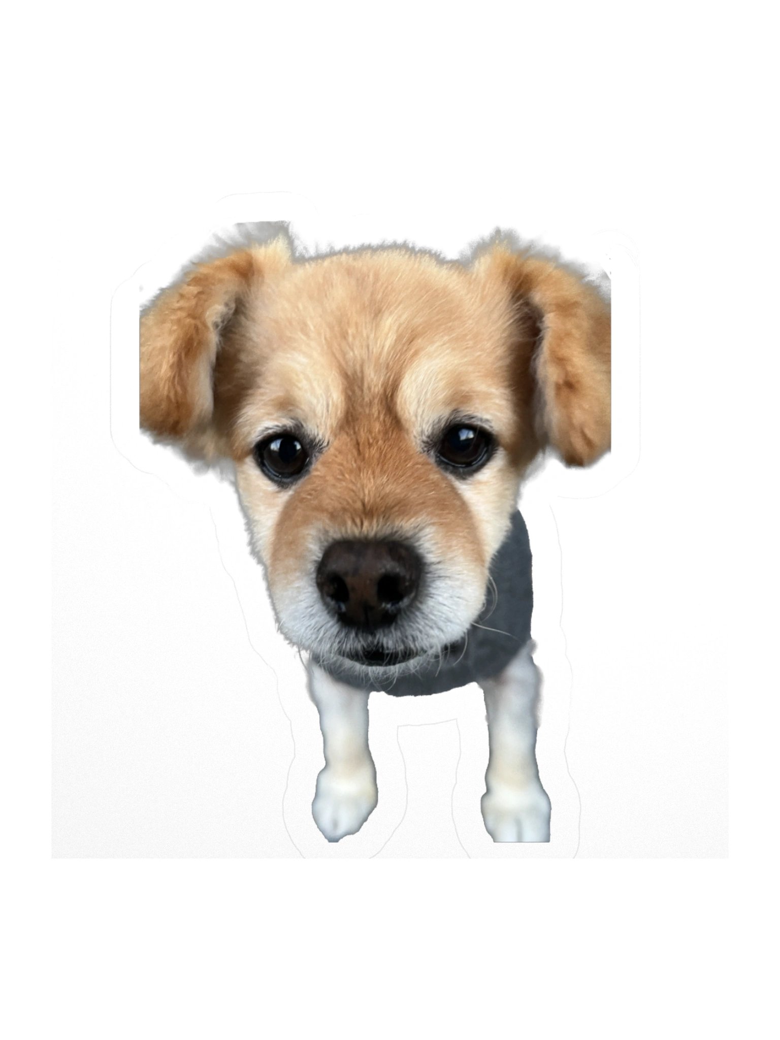 Concerned for You product image (3)