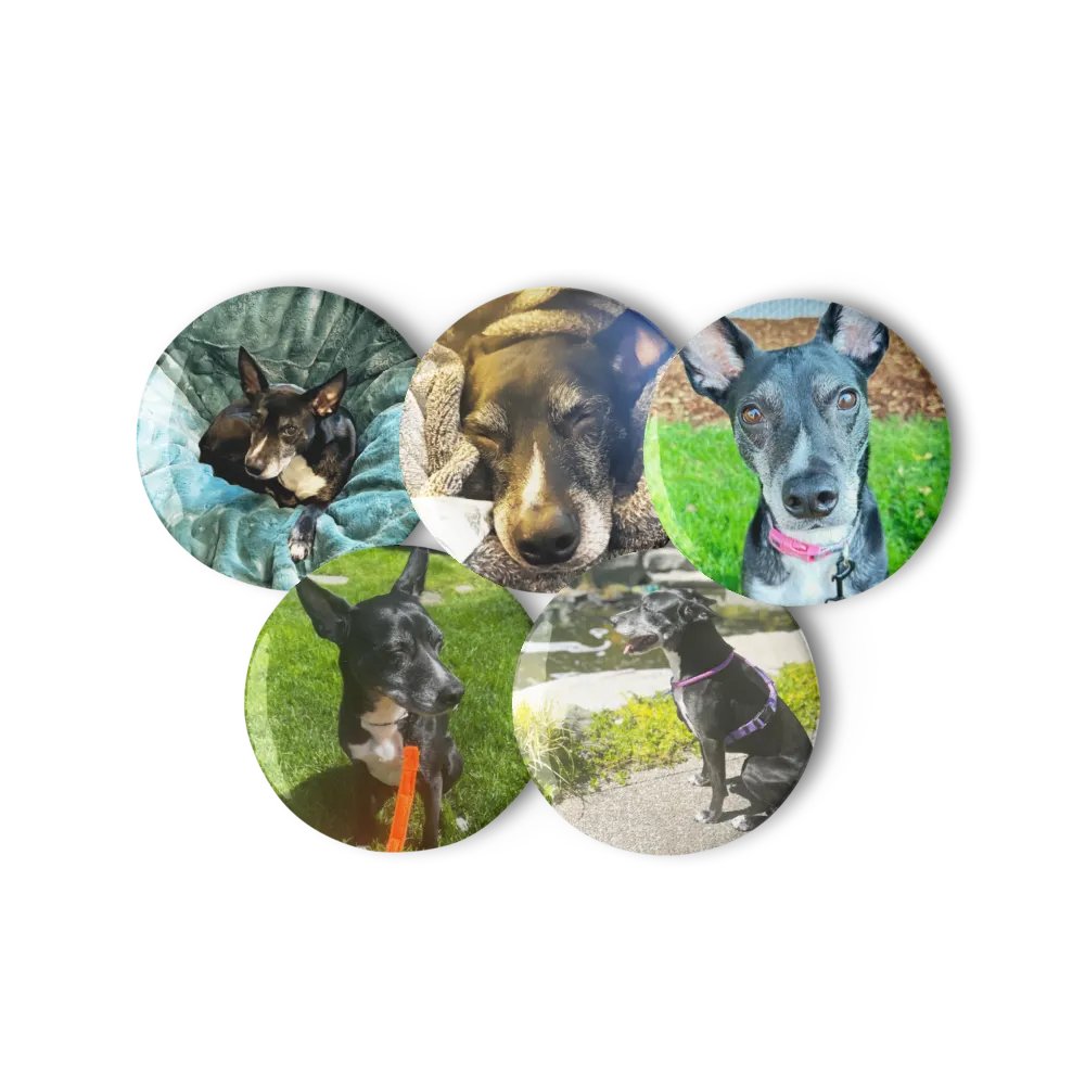 The Belle Badge Collection product image (11)