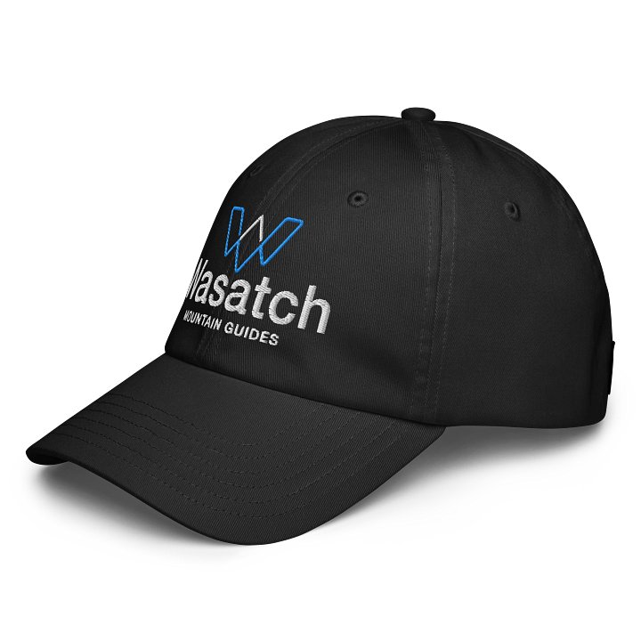 WMG Hat product image (2)