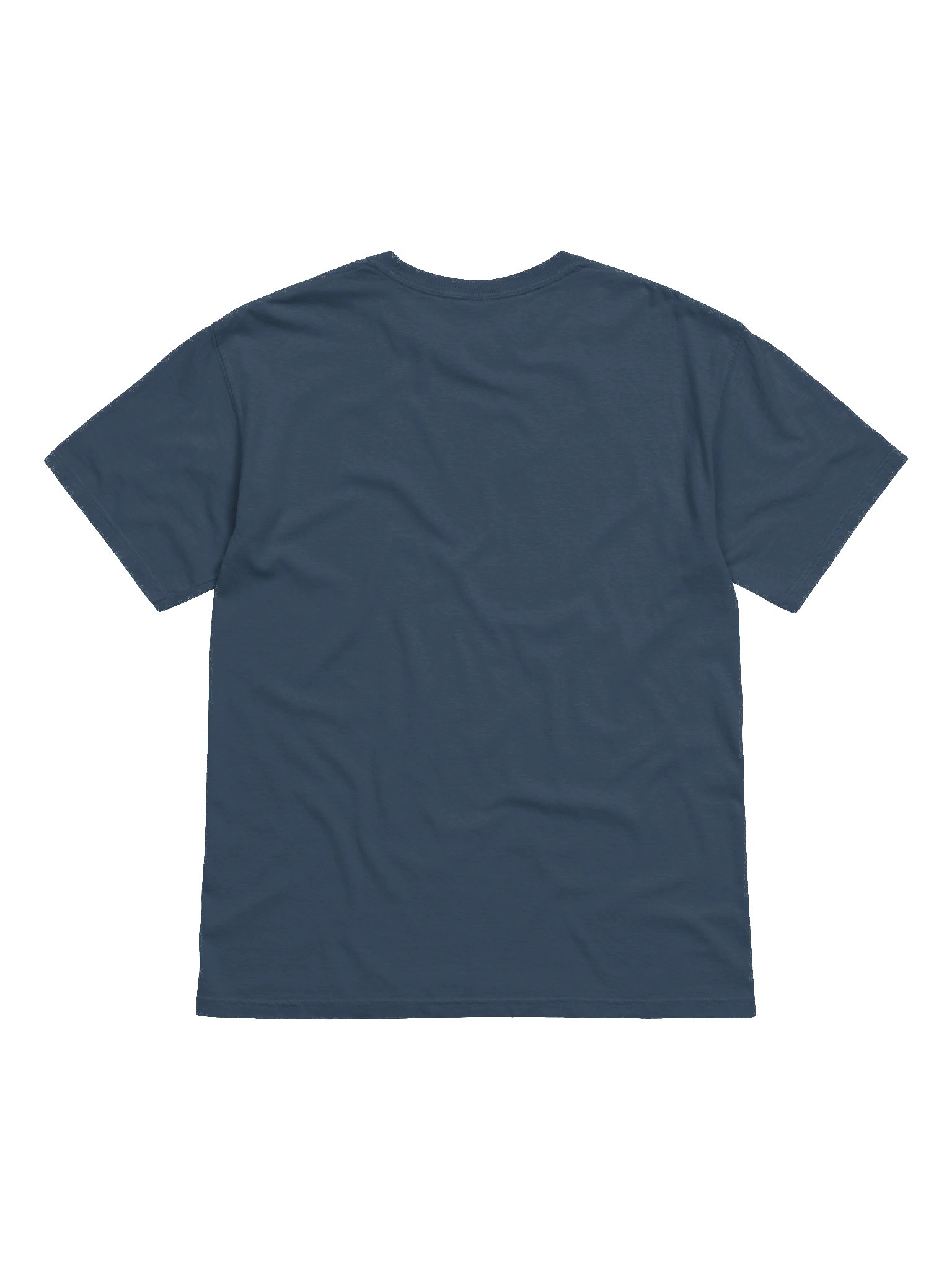 FAF Album Tee product image (2)
