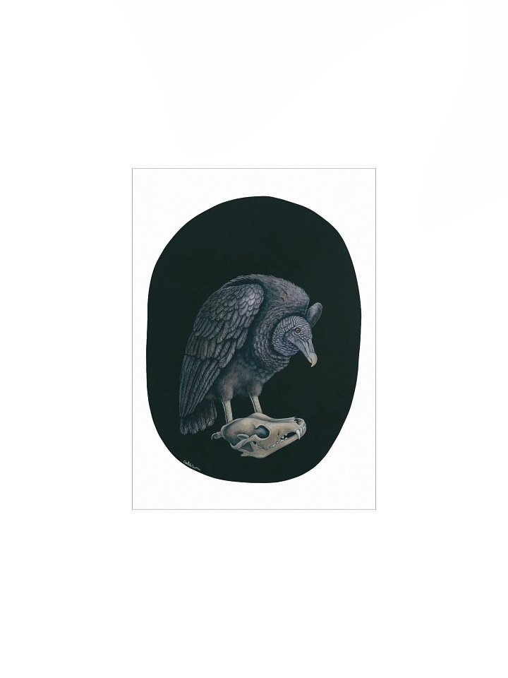 Those Who Hunger (Black Vulture) - Art Print product image (2)
