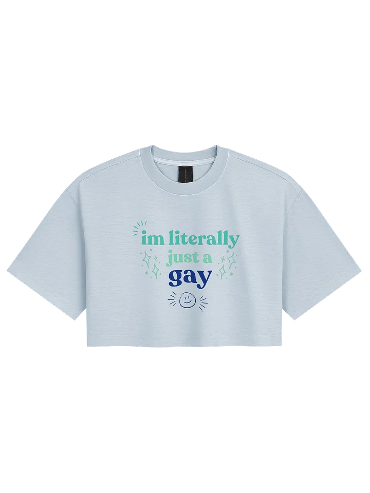 Just a Gay - Crop Top product image (1)