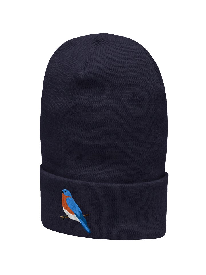 Eastern Bluebird Embroidered Beanie | Winter Bird Hat | Bird Lover Gift product image (12)