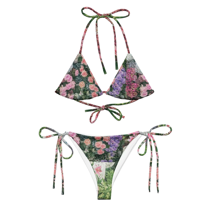 Bliss Two Piece Bikini product image (2)