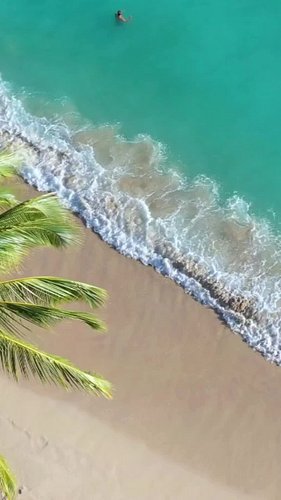 KOEIA Moodboard

Collage – waves, palms, logo, product sketches

This is what moves us: sun, sea, land, and a simple life.

W...