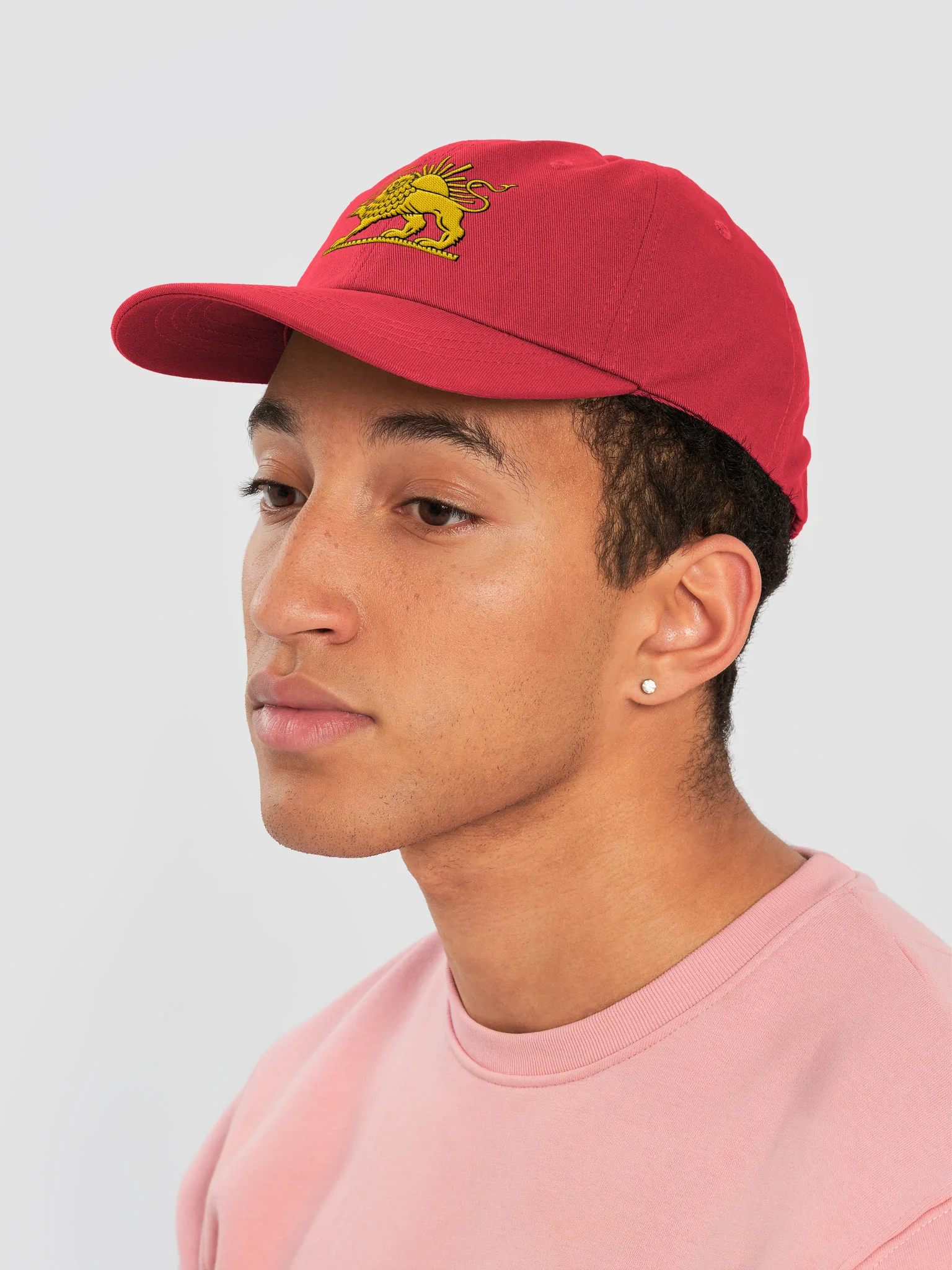 Golden Lion Emblem Dad Hat product image (31)