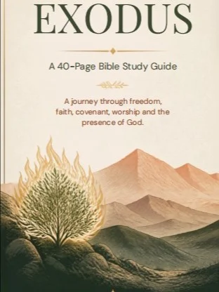 Exodus Complete 40-Page Study Guide. from Kweeble Glory Store