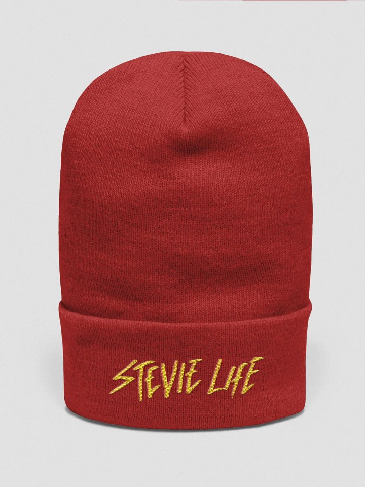Stevielife Beanie product image (9)