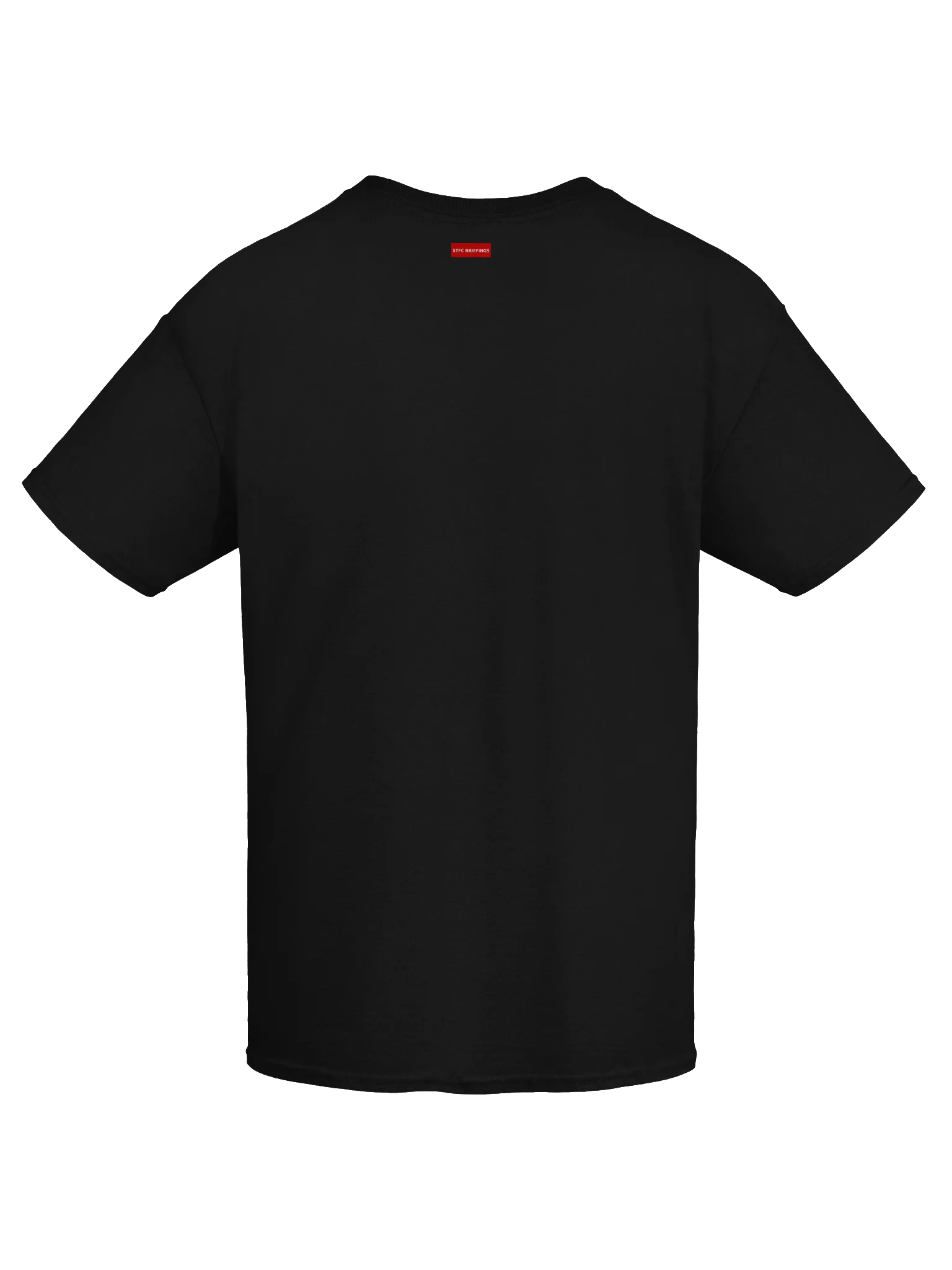 STFC Briefings Borg Sphere Collection T-Shirt product image (52)
