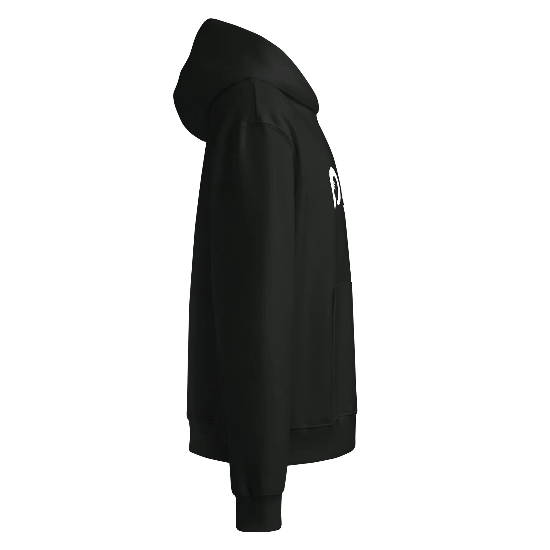 TDT Signature Hoodie product image (4)