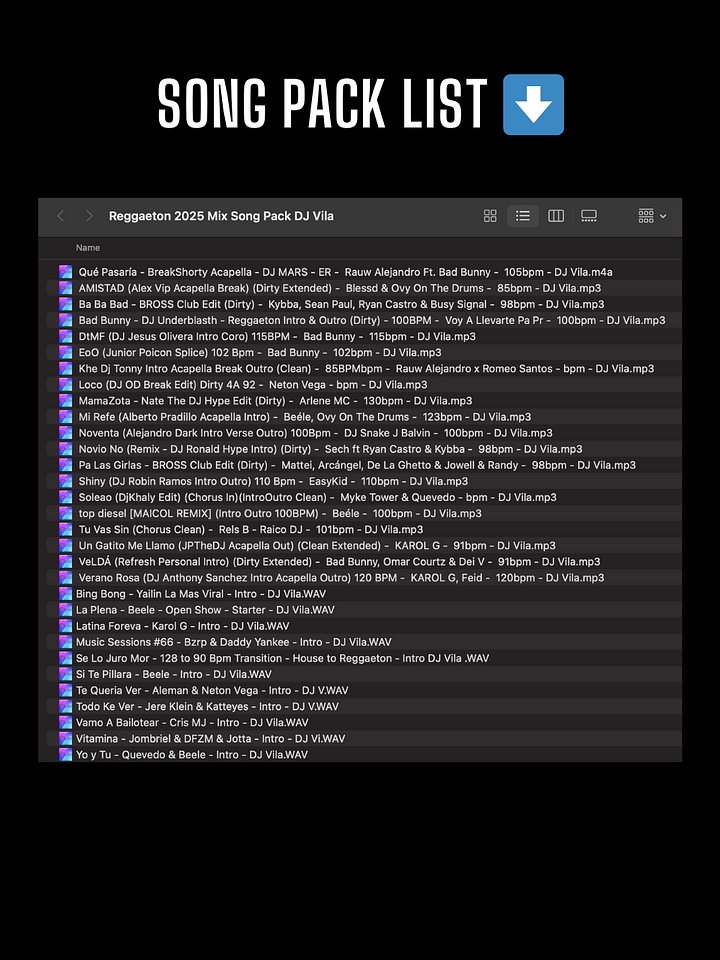 Reggaeton Mix 2025 – Song Pack product image (2)