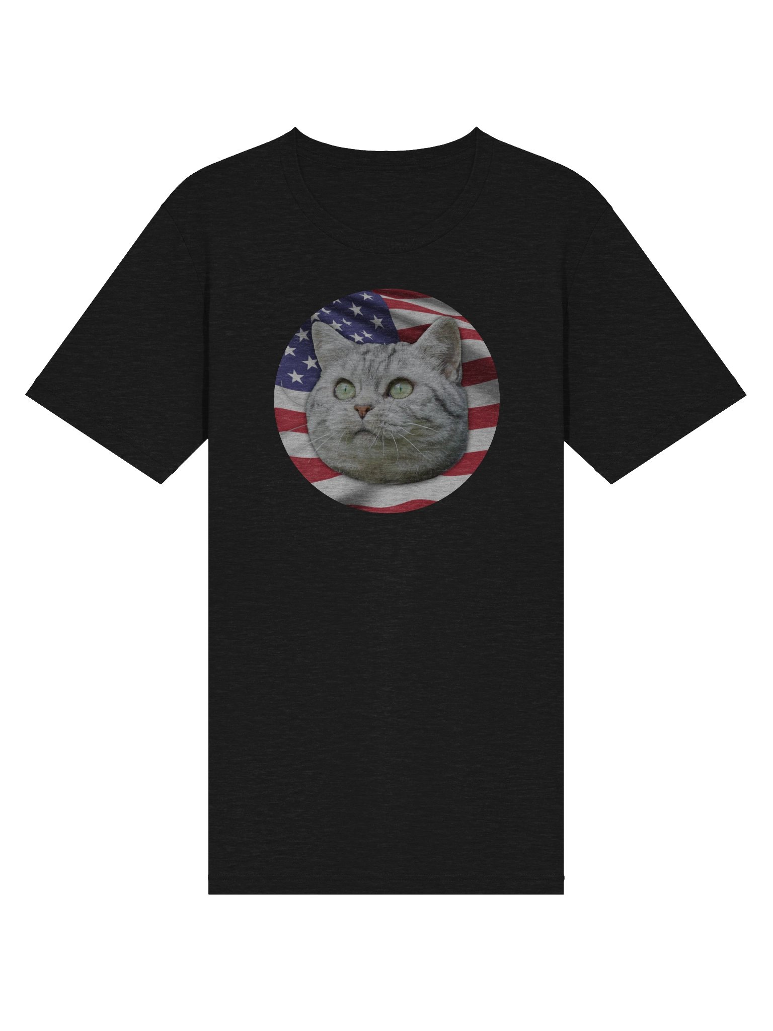 PATRIOTIC CAT LOGO (Triblend) product image (27)