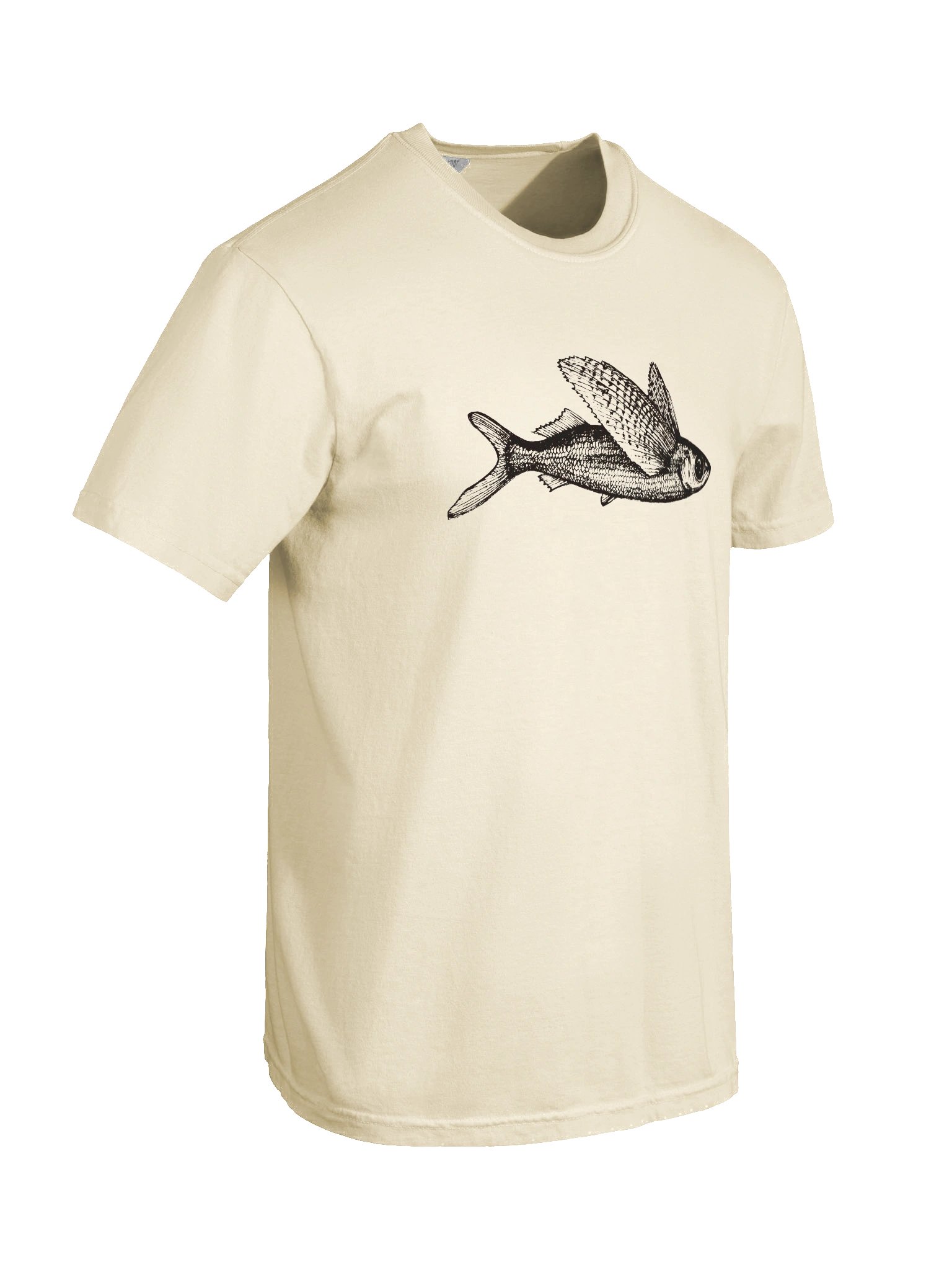 Flying fish - Print product image (38)