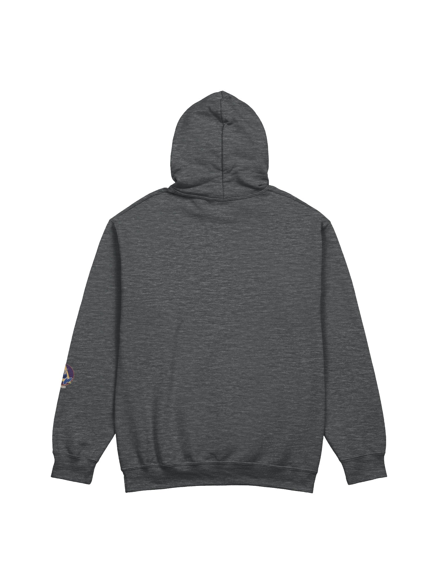 MSVCon 2026: Pocket Sized Adventures Emblem Hoodie product image (26)