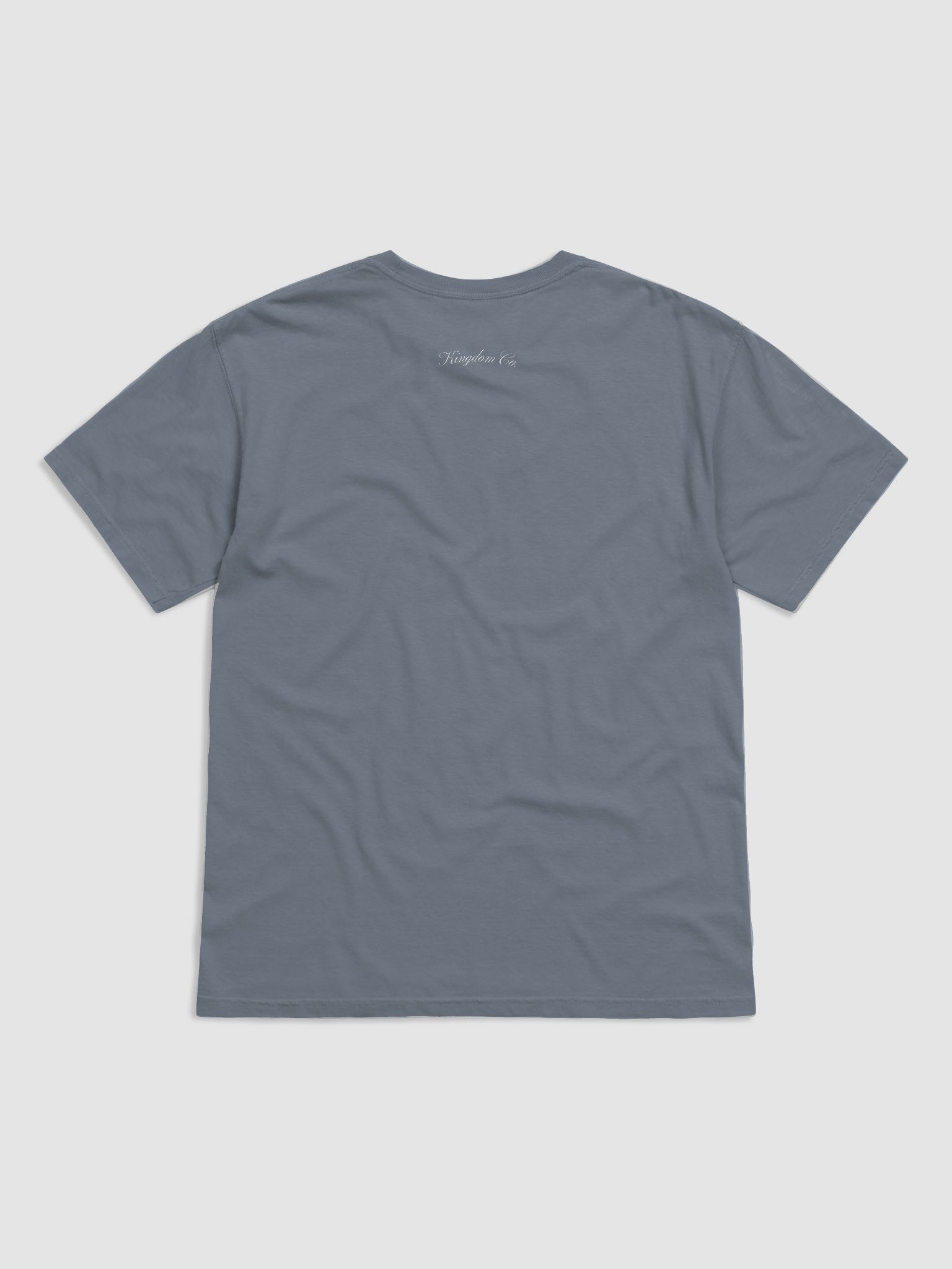 Boldness is Your Birthright Coastal Tee product image (5)