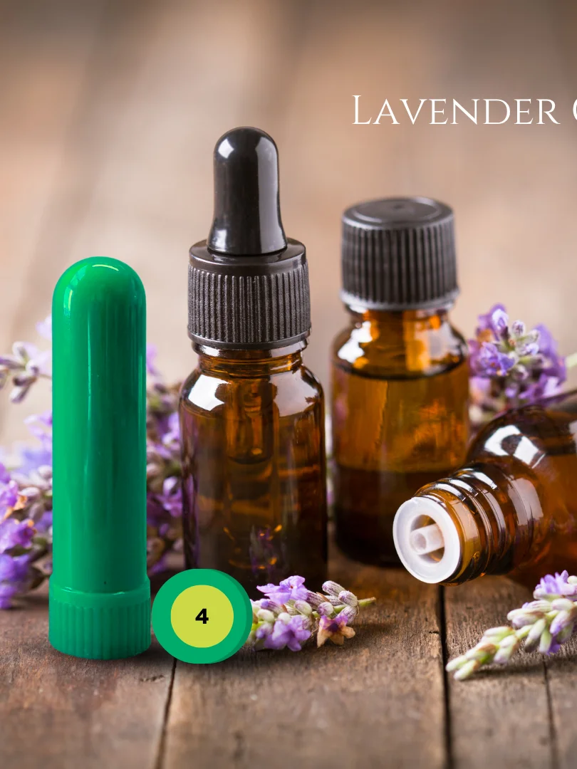 Olfaria Herbal Odor Training Kit | 5 Single-Note Essential Oils | Scent Education | Train Your Nose product image (5)