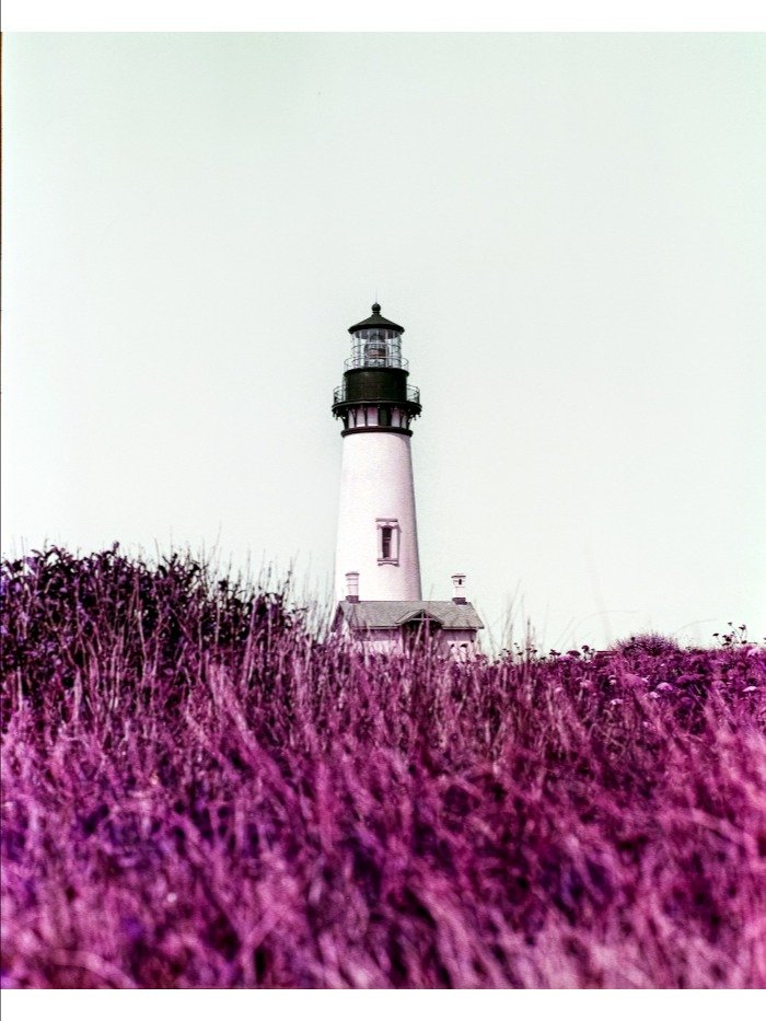 Yaquina Head, 2025 product image (1)