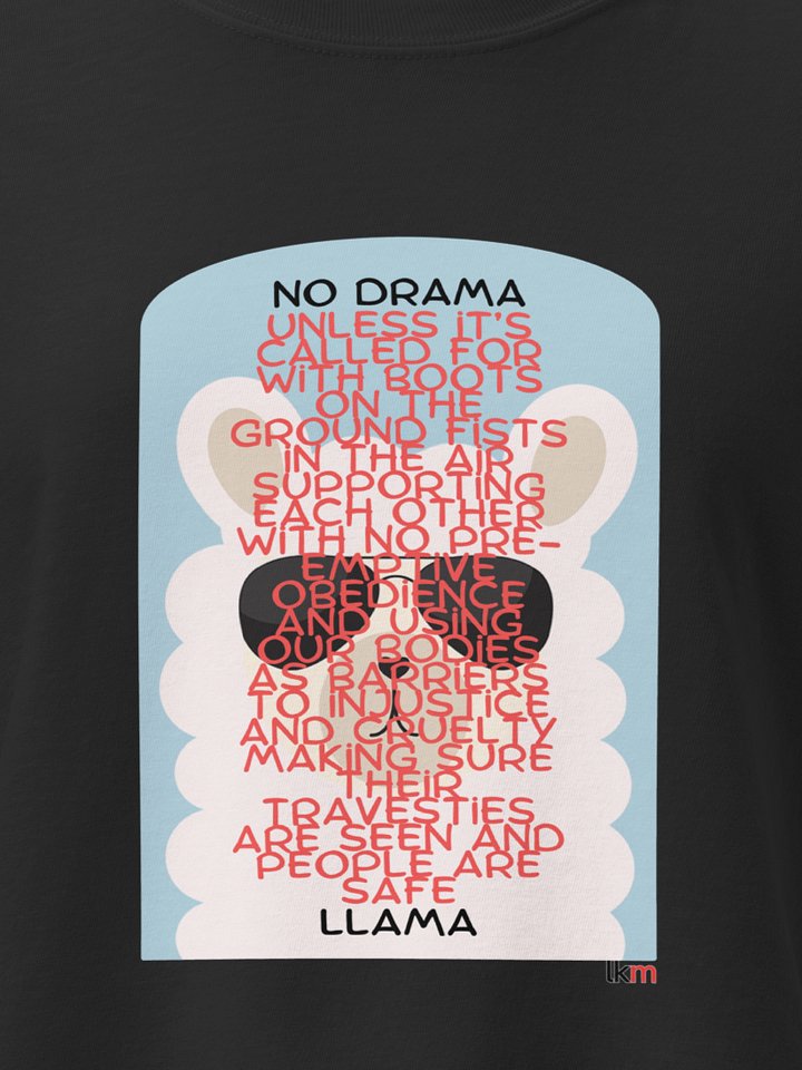 Drama Llama LKM Boxy Tee product image (1)